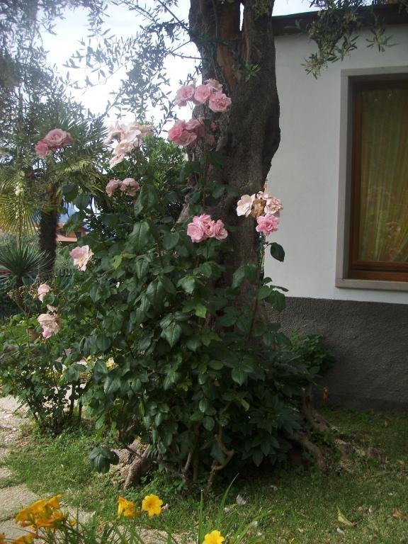 Garni Casa Rabagno Hotel Malcesine Exterior foto